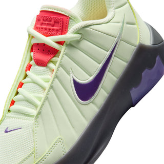 Nike Lebron Witness IX