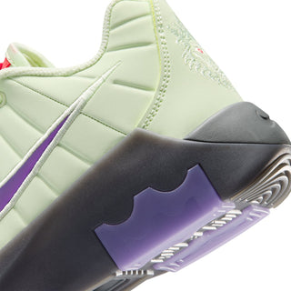 Nike Lebron Witness IX