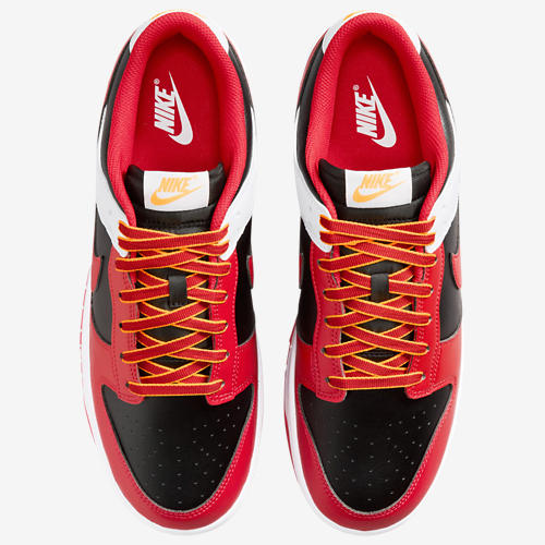 Nike Dunk Low Retro RIV