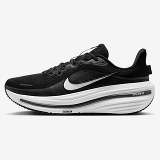 Nike Air Winflo 12