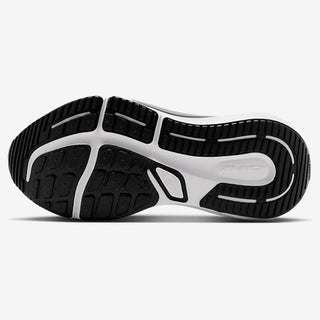 Nike Air Winflo 12