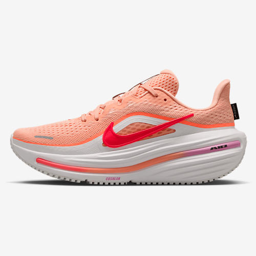 Nike Air Winflo 12
